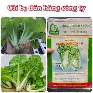 Hạt giống rau Cải bẹ dúm hàng chính hãng công ty đóng gói