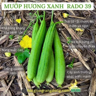 [Seeds] Hạt giống Mướp hương lai f1 RD39, đóng gói 1gr (khoảng 10 hạt)