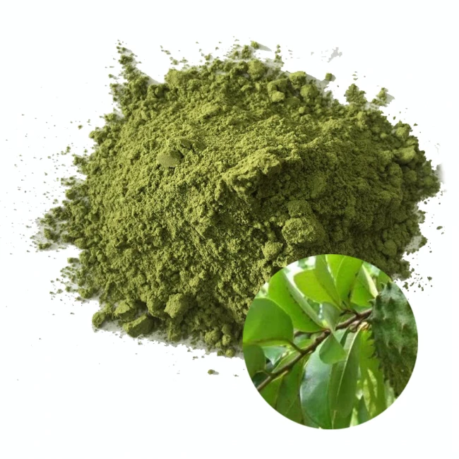 Bột lá mãng cầu xiêm KiHaTi - KiHaTi Soursop Leaf Powder (100gr)