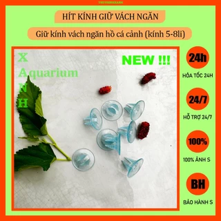 Hít kính giữ vách ngăn hồ cá cảnh