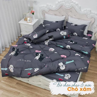 CHĂN PHAO Trần bông cao cấp chăn poly cotton 3 lớp siêu ấm loại 1 hàng được chọn mẫu