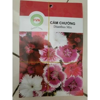 Hạt Giống Hoa Cẩm Chướng Mix Màu FVN (Gói 15 hạt)