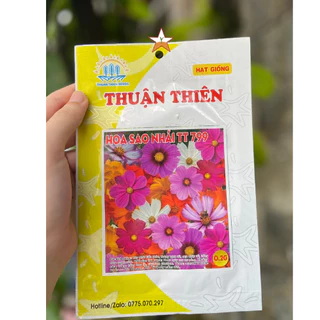 Hạt giống hoa sao nhái THUẬN THIÊN,hoa đẹp,dễ trồng,nhiều màu