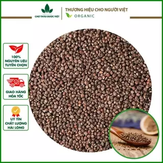 Hạt tía tô khô 500g, tô tử khô, sạch - Chợ thảo dược việt