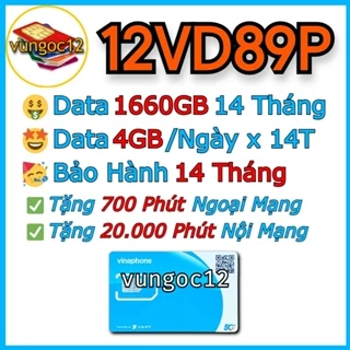 [ KM 14THÁNG] SIM 4G VINA  VD89P GV89 12 THÁNG 4GB NGÀY GỌI NGOẠI MẠNG 50P NỘI MẠNG 1500P