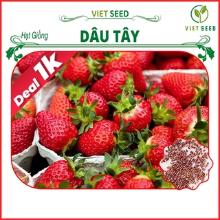 Deal 1k - Hạt Giống Dâu Tây Gói 25 Hạt - Hạt Giống 4 Mùa