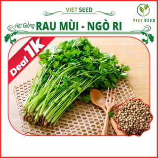 Deal 1k - Hạt Giống Rau Mùi Ta (Ngò Ri)  Gói 100 Hạt - Hạt Giống 4 Mùa