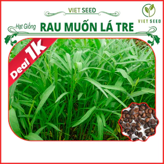 Deal 1k - Hạt Giống Rau Muống lá Tre Gói 26 Hạt - Hạt Giống 4 Mùa