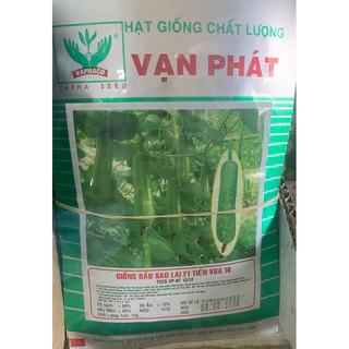 Hạt giống bầu sao lai f1 Tiến Vua 16 - Vạn phát, 10gam