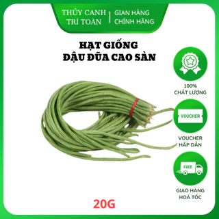 Hạt giống Đậu Đũa Cao Sản Hạt Đen trồng quanh năm, nảy mầm tốt (gói 20 gr) - Hạt giống Rạng Đông