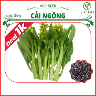 Deal 1k - Hạt Giống Cải Ngồng Gói 110 Hạt - Hạt Giống 4 Mùa