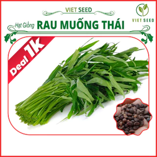 Deal 1k - Hạt Giống Rau Muống Thái Gói 30 Hạt - Hạt Giống 4 Mùa