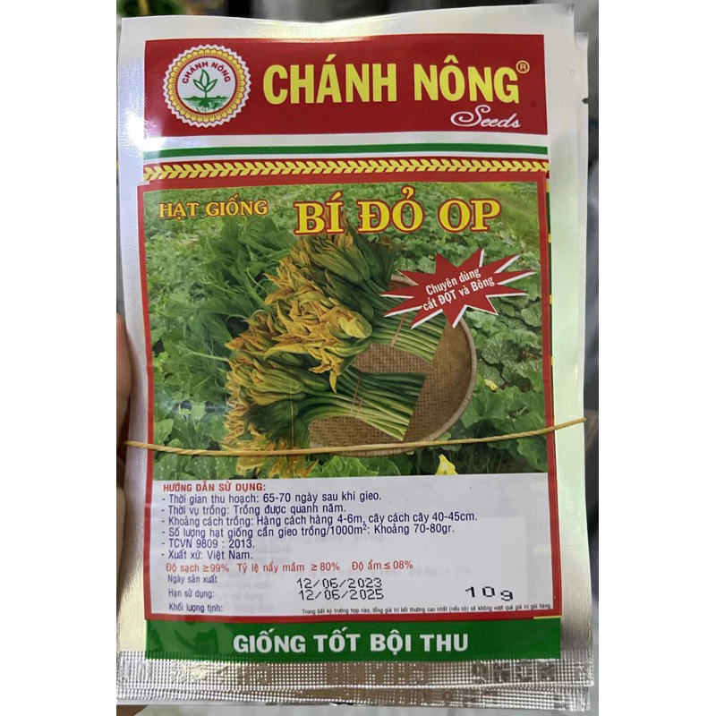 Hạt giống bí đỏ chuyên cắt đọt, bông OP - Chánh Nông 10g