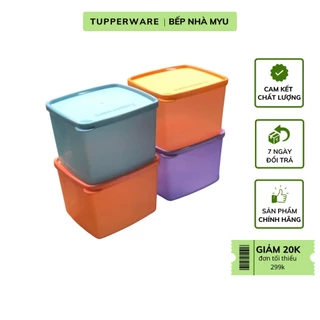 Bộ Hộp Tupperware Medium Square Round Gen I 4 Hộp