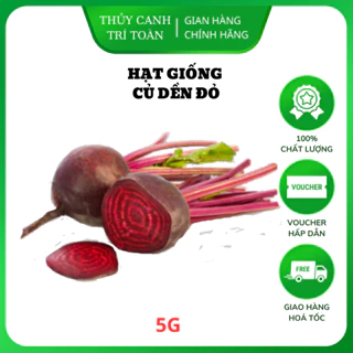 Hạt giống Củ Dền Đỏ củ to, ngọt, trồng quanh năm (gói 5 gr) - Hạt giống Rạng Đông