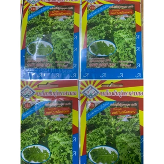 hạt giống cải kale xanh nhập khẩu Thái lan nguyên bao bì