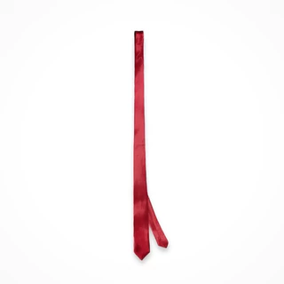 Cà Vạt Lụa Satin Cao Cấp | Wanes Red Tie In Silk