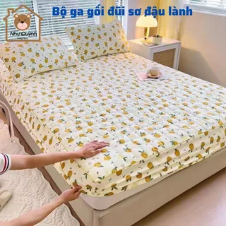 Sét ga gối trần bông chất liệu đũi kèm 2 vỏ gối ga trải giường đũi Bộ ga gối sơ đũi được chọn mẫu kt m6 m8 2m2