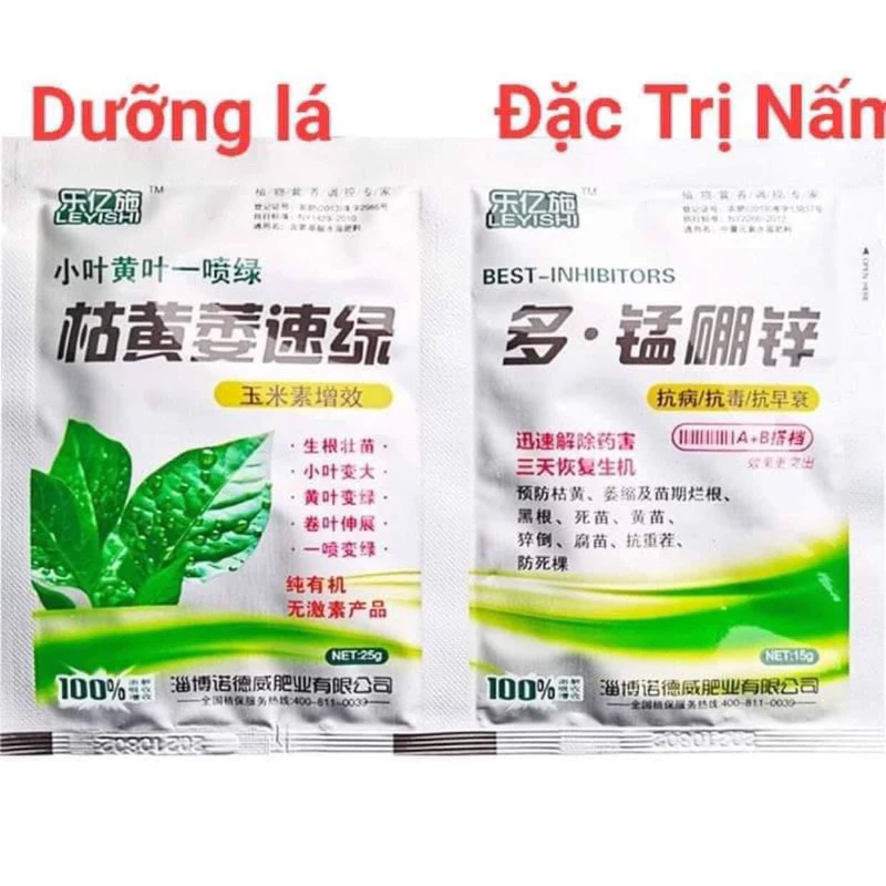 Bật mầm dưỡng lá, kháng nấm