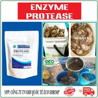 Túi Chiết Lẻ 100 Gram Enzyme Protease Nguyên Liệu Ủ Phân Cá Và Ủ Đạm Đậu Nành Chăn Nuôi