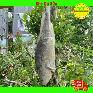 300gr Khô Cá Sửu [Khúc Giữa] Hàng Nam Vang Chất Lượng Dùng Chưng Thịt Trứng