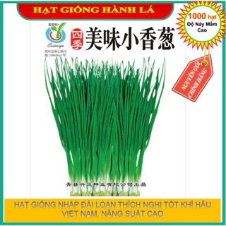 Shop 1K- 100 Hạt giống hành hoa (hành lá) cao sản - Tỉ lệ nảy mầm ĐẠT 99%