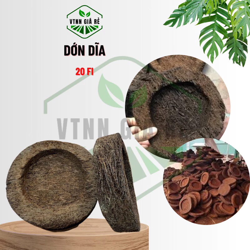 DỚN DĨA TRỒNG LAN FI 20 Dày 5cm - MUA 3 TẶNG 1 CÙNG LOẠI