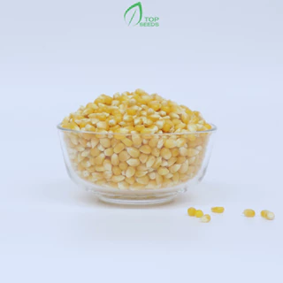 Ngô Mỹ nổ bắp rang bơ 500g