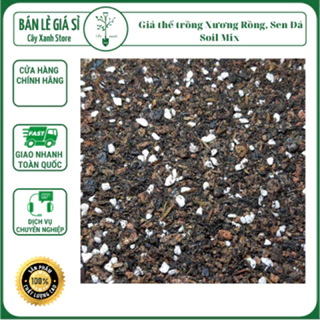 Đất Trồng Sen Đá , Xương Rồng, Cây Cảnh Soil Mix, Trộn Sẵn, Tiện Lợi, Đầy Đủ Dinh Dưỡng, Thoát Nước Tốt, Cây Nhanh Lớn