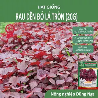 Hạt giống rau dền đỏ lá tròn - Shop hạt giống DŨNG NGA SEEDS