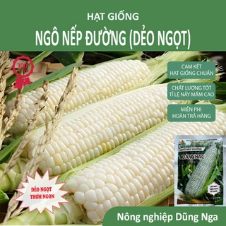 [HOT SALE] Hạt Giống Bắp Nếp Lai F1 (Ngô nếp đường 100gram) - HOÀNG HẠC dẻo thơm ngon