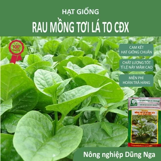 Hạt giống Mồng Tơi Xanh Lá to GÓI 50Gram