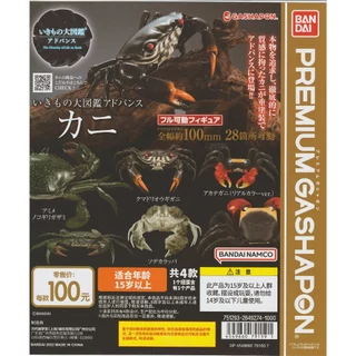 MÔ HÌNH TRỨNG BANDAI GASHAPON PREMIUM Ikimono Encyclopedia Advanced Crab ( CUA CÓ KHỚP)