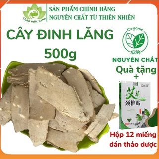 [Mới] 500g Đinh lăng nếp, Nam dương sâm nguyên chất, mới, khô, sạch