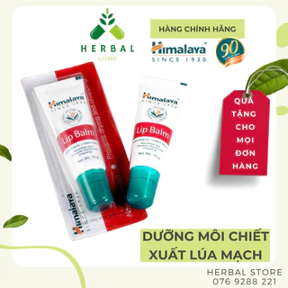 Son Dưỡng Môi Himalaya Lip Balm chiết xuất cà rốt và lúa mạch 10g - Bản Nội Địa dạng vỉ