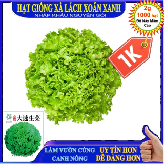 Deal LỖ 1K - 1000 Hạt giống Xà lách xoăn xanh NHẬP KHẨU NGUYÊN  - Tập làm vườn cùng CANNÔNG