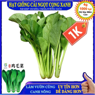 Deal LỖ 1K - 1000 Hạt giống Cải ngọt Cọng Xanh - Tập làm vườn cùng CANH NÔNG