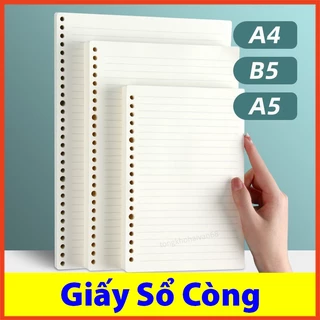 Ruột sổ còng A5 B5 A4 20 26 30 lỗ sổ còng giấy refill caro kẻ ngang nhiều lỗ thiết kế đẹp