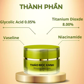 KEM FACE THẢO MỘC XANH(𝐂𝐡𝐢́𝐧𝐡 𝐡𝐚̃𝐧𝐠 + 𝐟𝐫𝐞𝐞 𝐬𝐡𝐢𝐩)