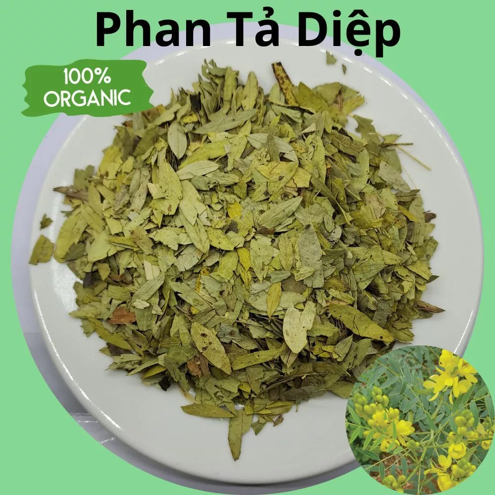 Phan Tả Diệp, túi 100gr lá mới, sạch thơm, sấy khô