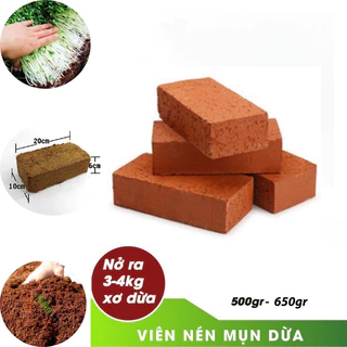 COMBO 5 Viên Nén Sơ Dừa hữu cơ, đất nén sơ dừa đã xử lý trồng rau củ quả, trồng hoa , viên xơ dừa trồng cây