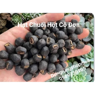 Hạt Chuối Cô Đơn Sạch 1KG rừng Kon Tum