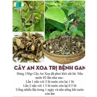 1kg Cây An Xoa tím  Hòa Bình, mát gan giải nhiệt hạ men gan xơ gan