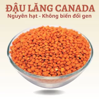 Đậu lăng đỏ hữu cơ nguyên hạt không biến đổi gen nhập khẩu Canada, hạt đậu lăng sạch nấu sữa hạt nấu ăn rất thơm