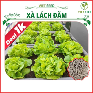 Deal 1k - Hạt Giống Xà Lách Đăm Gói 100 Hạt - Hạt Giống 4 Mùa