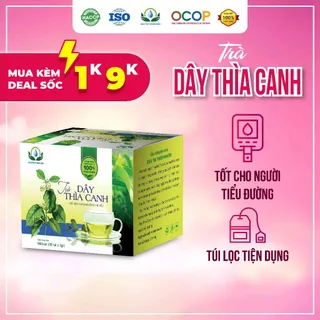 Trà Dây Thìa Canh hộp 30 Túi Lọc x 3Gram tốt cho người tiểu đường của Siêu Thị Thiên Nhiên