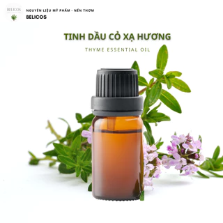 Tinh dầu cỏ xạ hương nguyên chất (Thyme essential oil) Tinh dầu thơm phòng, làm nến