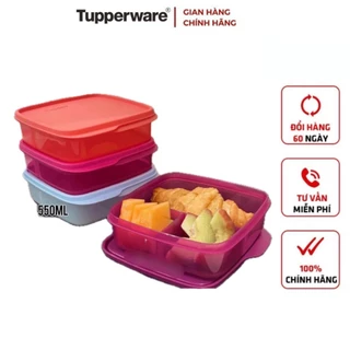 (Hàng chính hãng) Hộp Đựng Cơm Chia Ngăn 550ml/1L - Tupperware