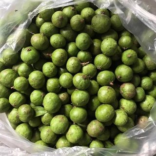 Sấu xanh đầu vụ. 1kg