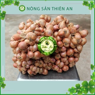 Hành khô ta loại 1 to đều Thiên An 500g